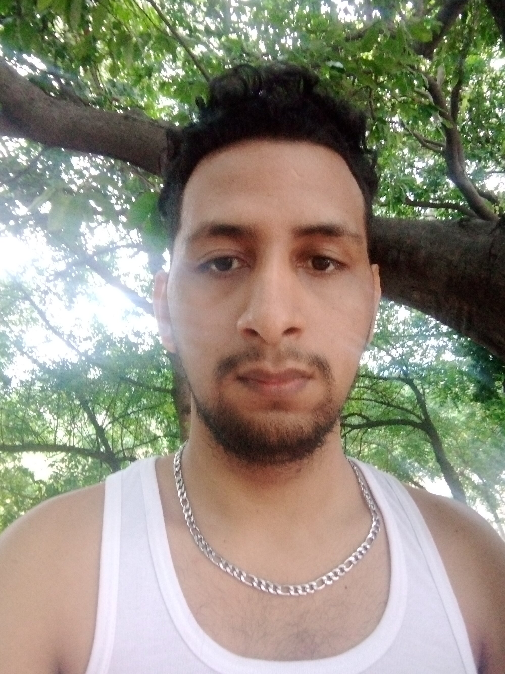 Black-_Cock