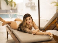 Модель Arianavillada