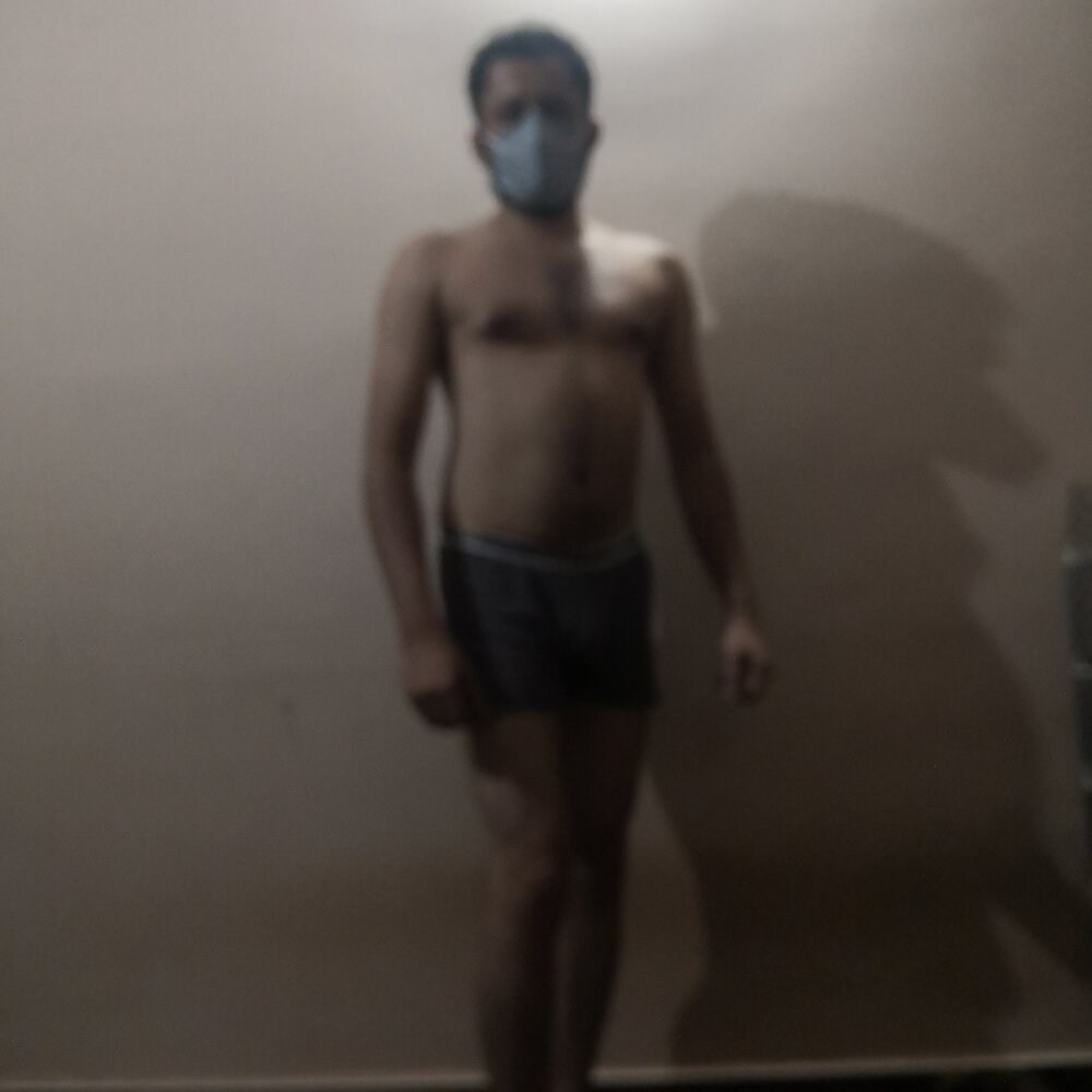 Indiancocklove profile