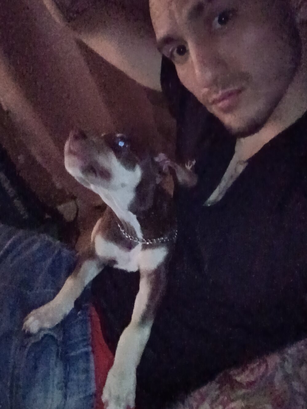 Chat XXX offline de FreaxxxyAngel