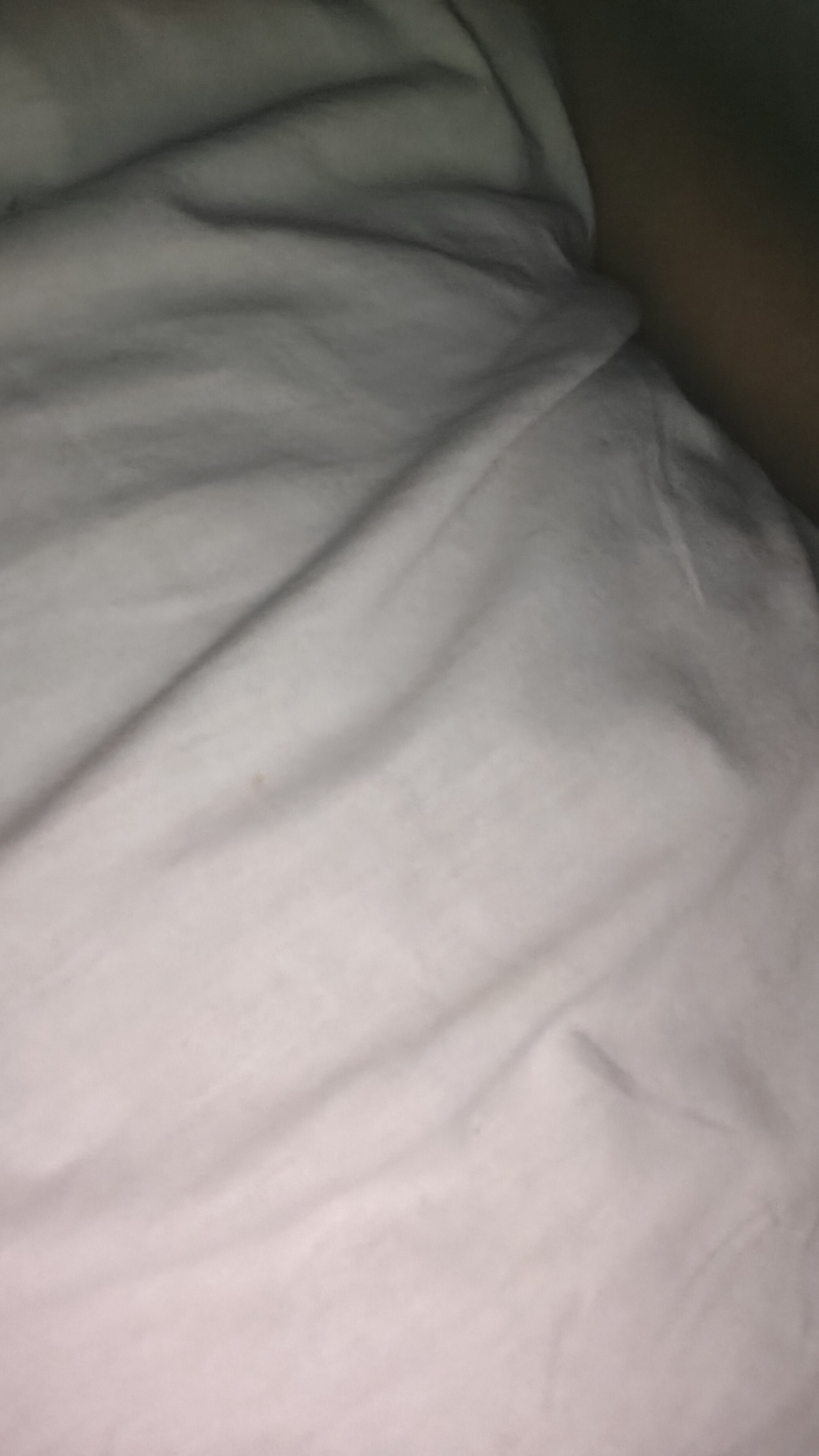 Raj2424HH live webcam