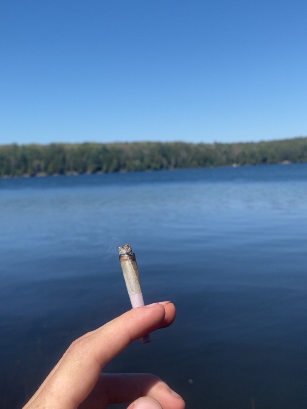 haverwya's Offline XXX Chat