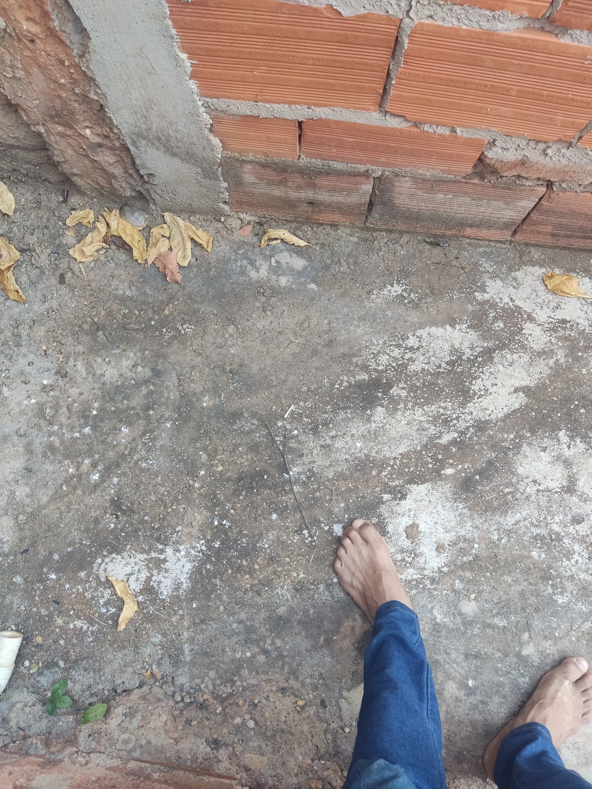 Comexotaquente