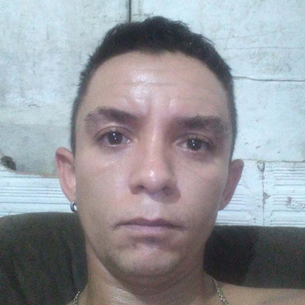 safadopauzudo2025 profile