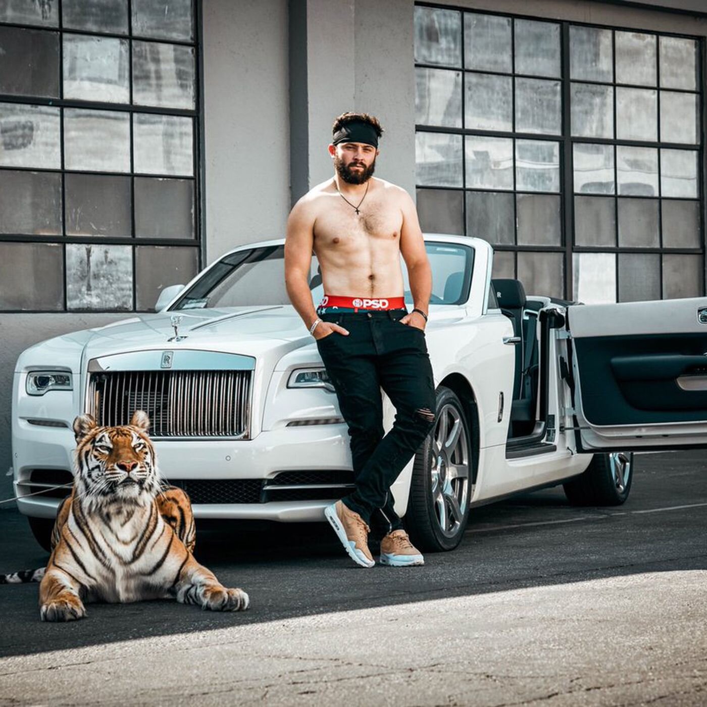 phofch231 live webcam