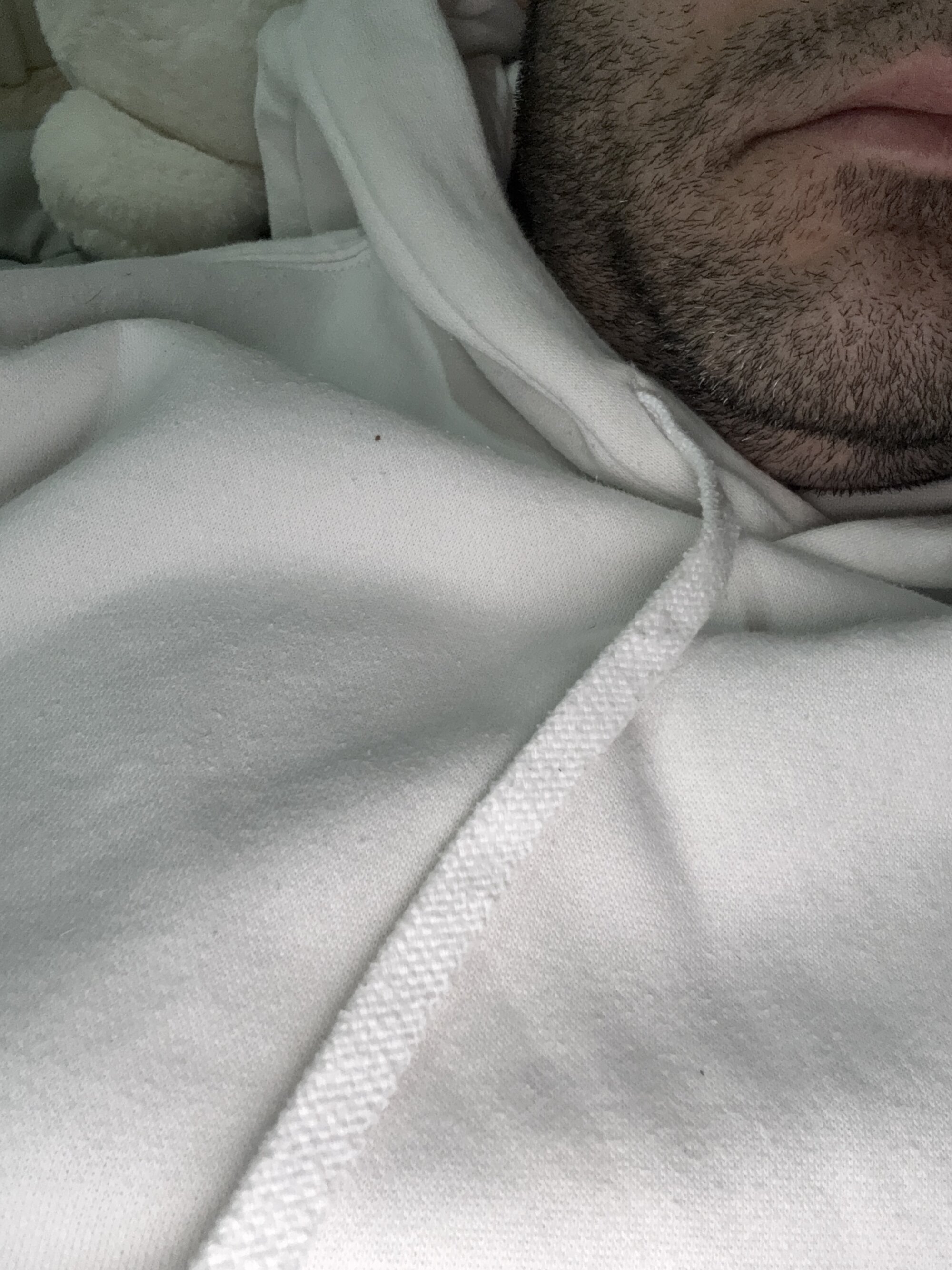 slvyt