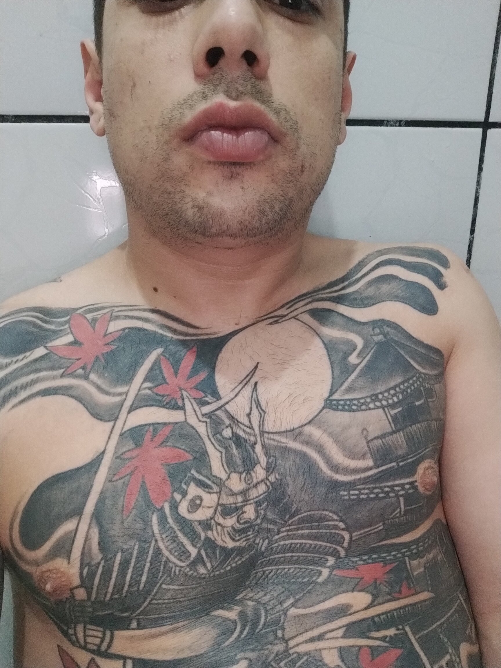 seupalfavorito