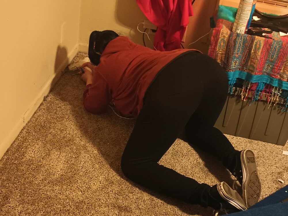 cokk-n-sczuckyr from stripchat