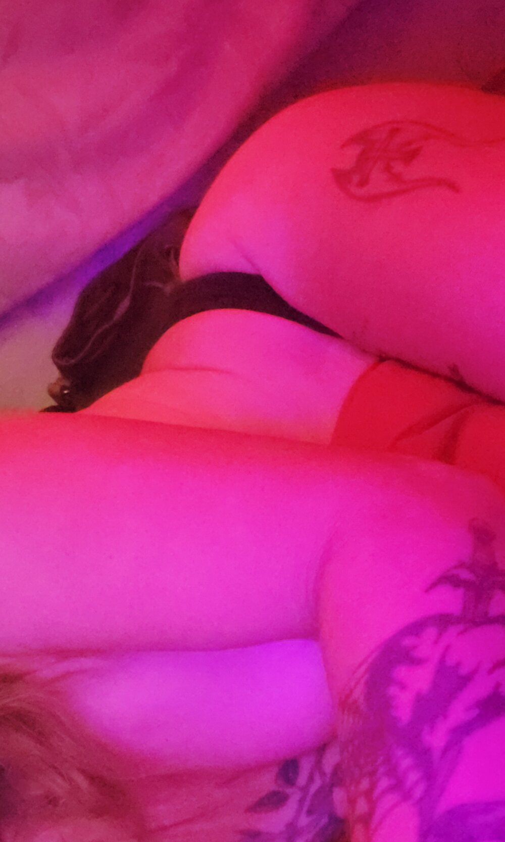 dirtylittlelisa's Offline XXX Chat