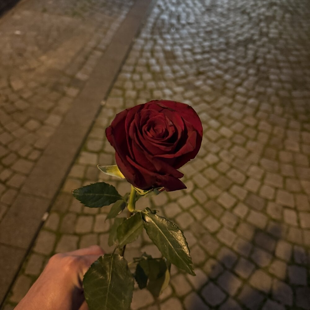 Goorg66's Offline XXX Chat