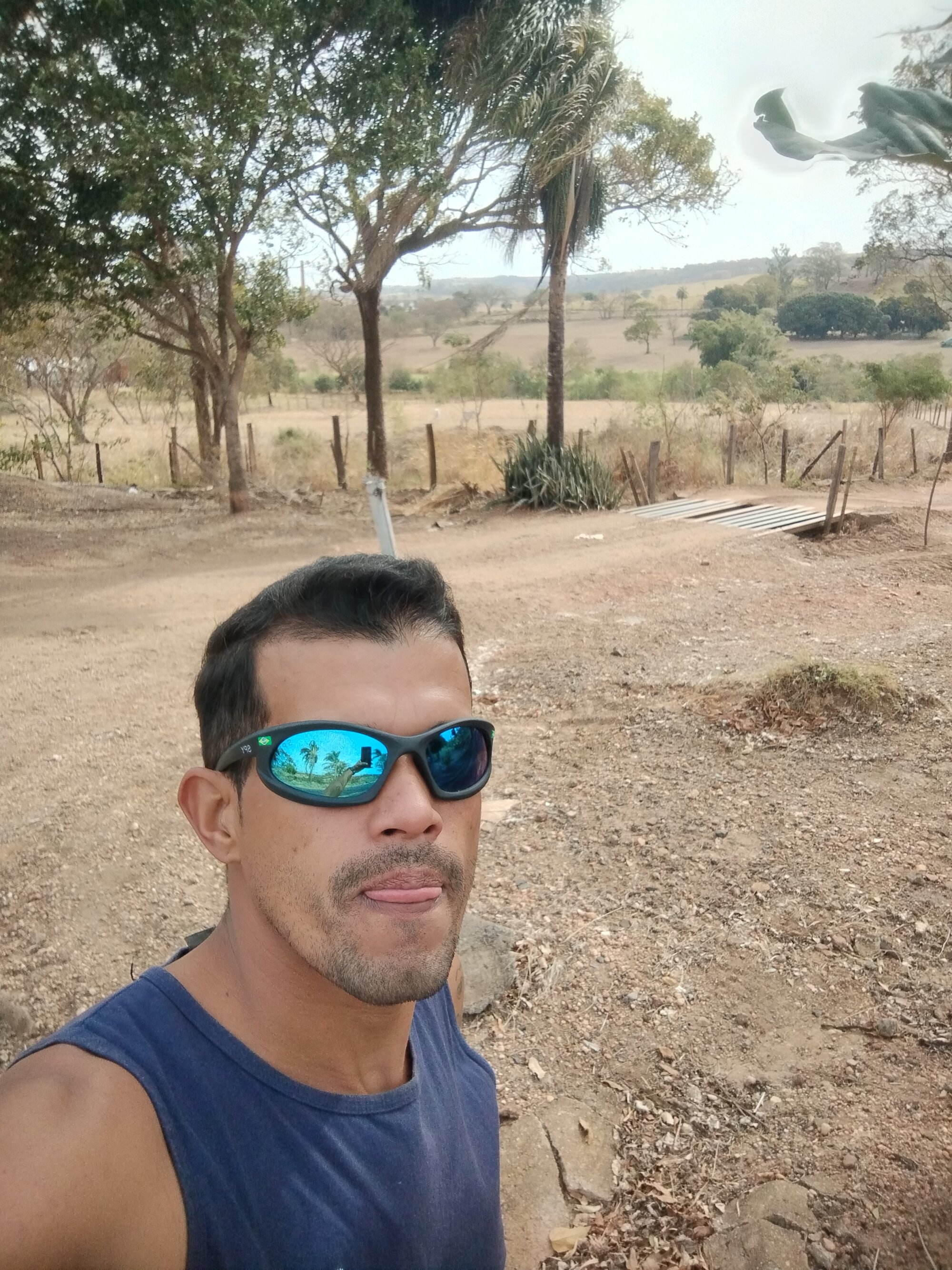 Pauzao15gtc