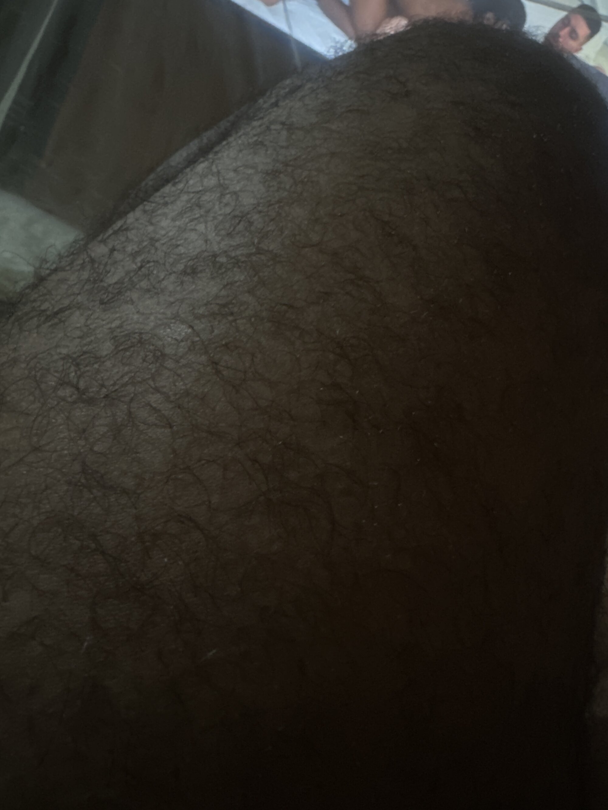 BidBear99
