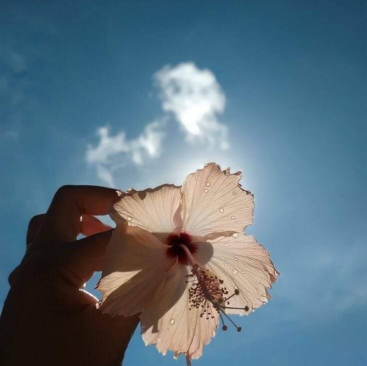 sadiakhan99 Adlı Modelin Çevrimdışı XXX Sohbeti