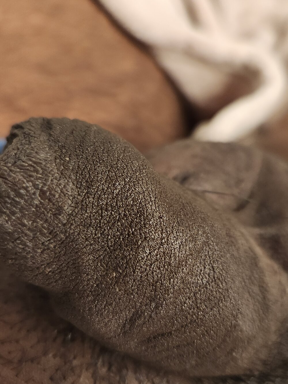 crazygu14456 Live Cam