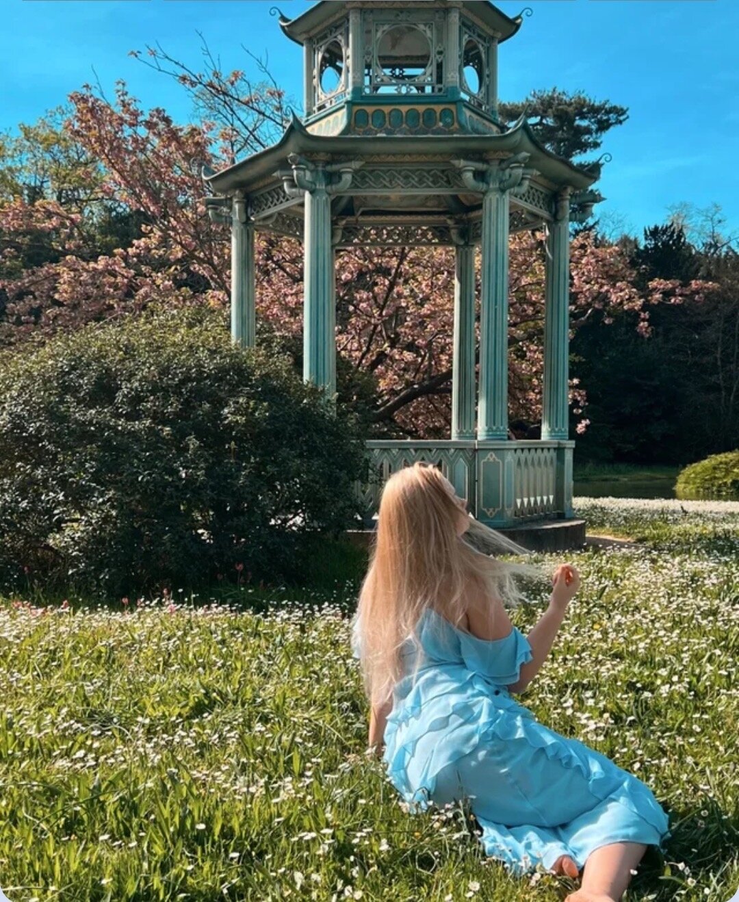 Ypela1