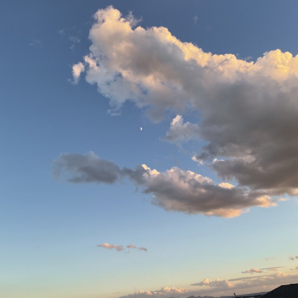 girthhwhas from stripchat