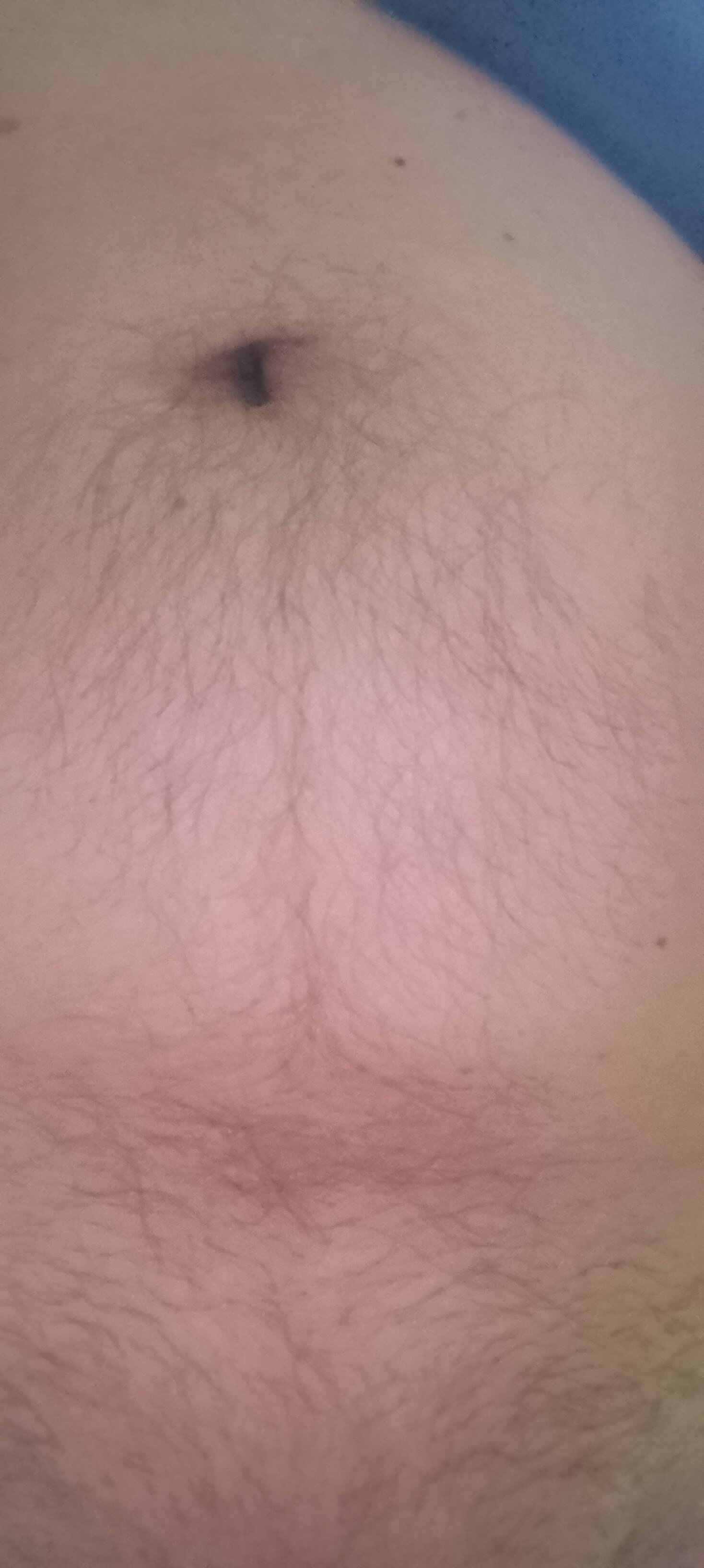 bozocwb