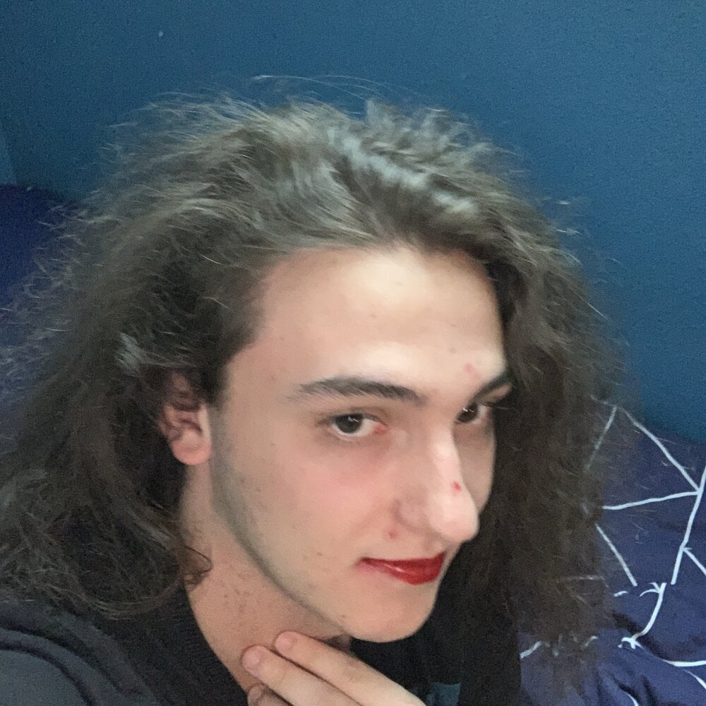 Araigneedusoir profile