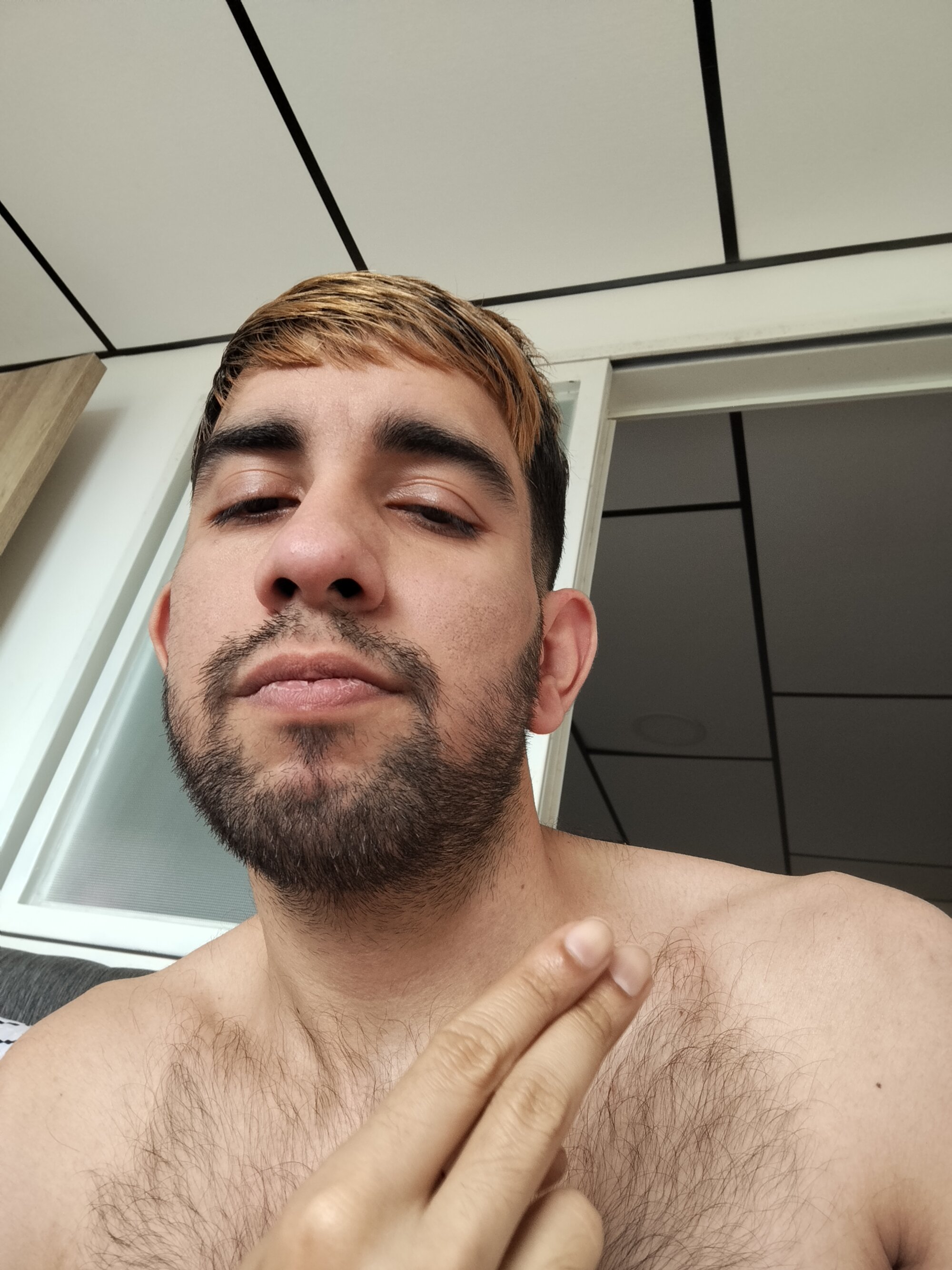 elfibo