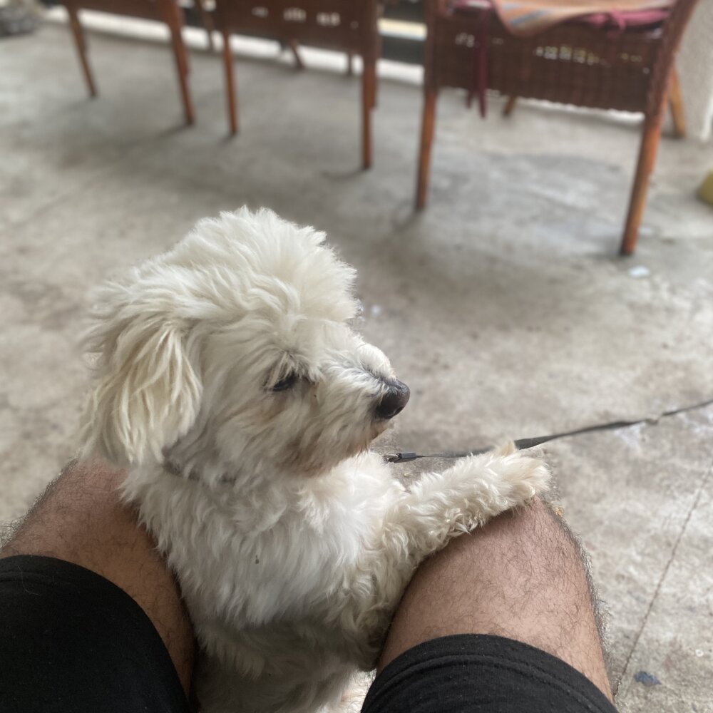 Mihaiboss230's Offline XXX Chat