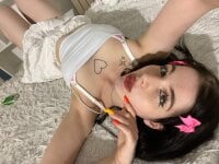 Модель WIKESSTAR