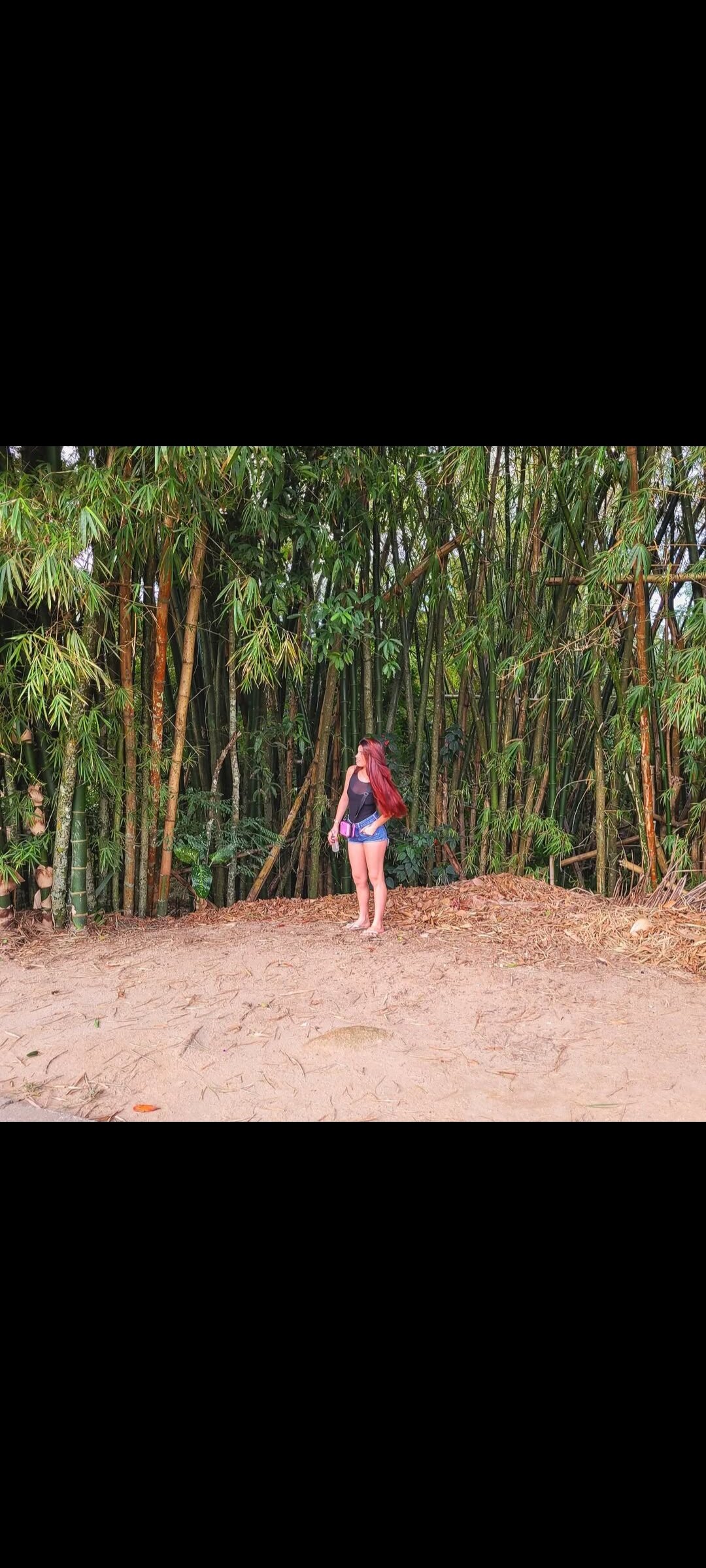 ruivinha02121