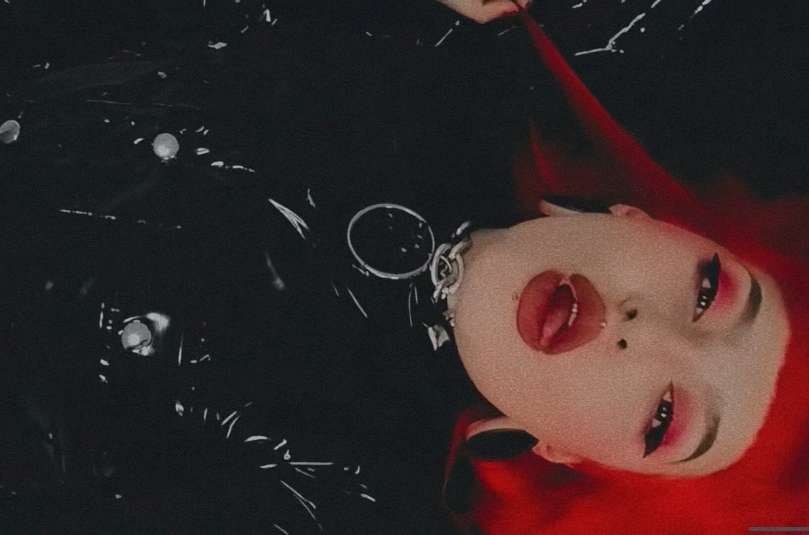 Thevenusdoll