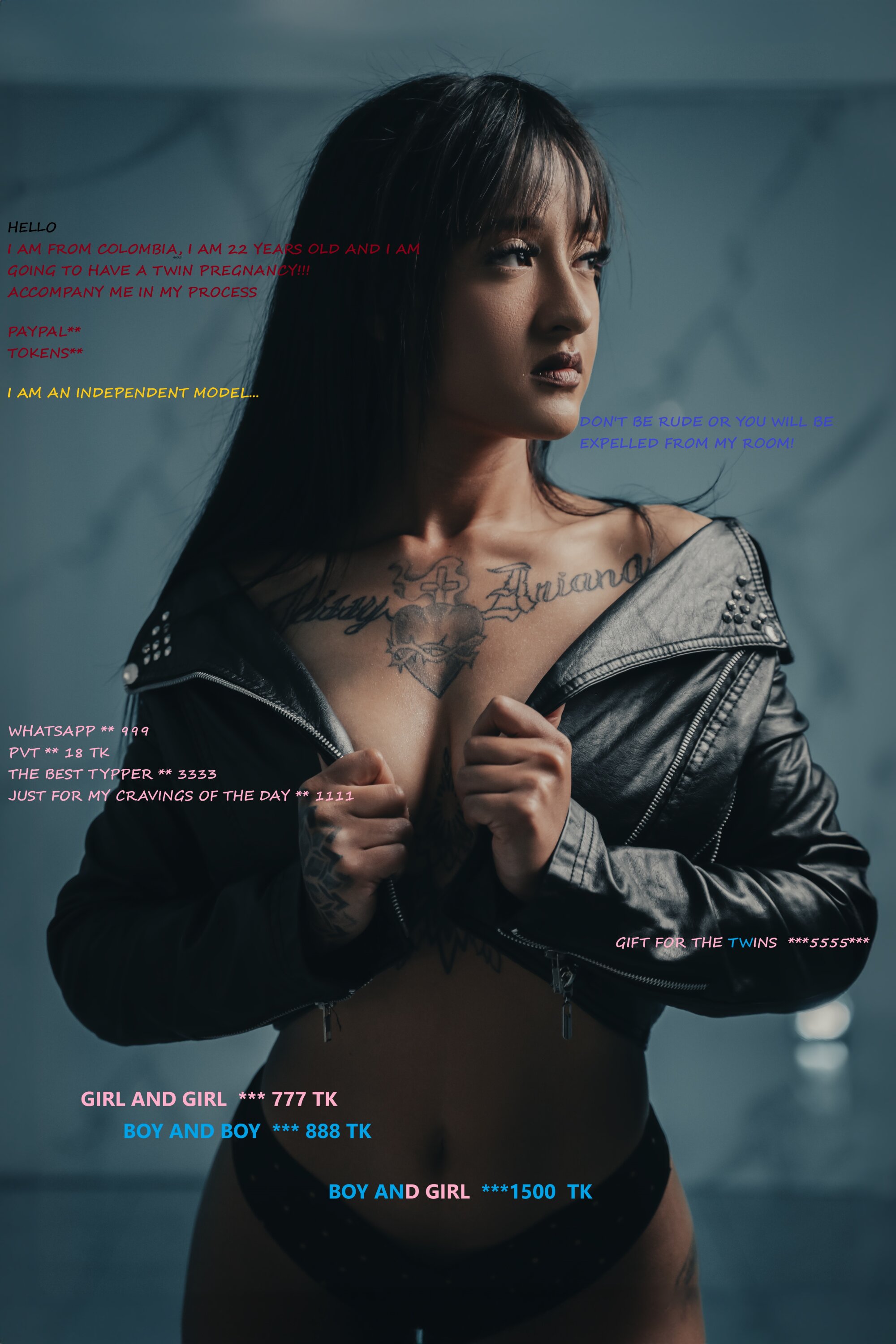 nicole_twinspregnancy