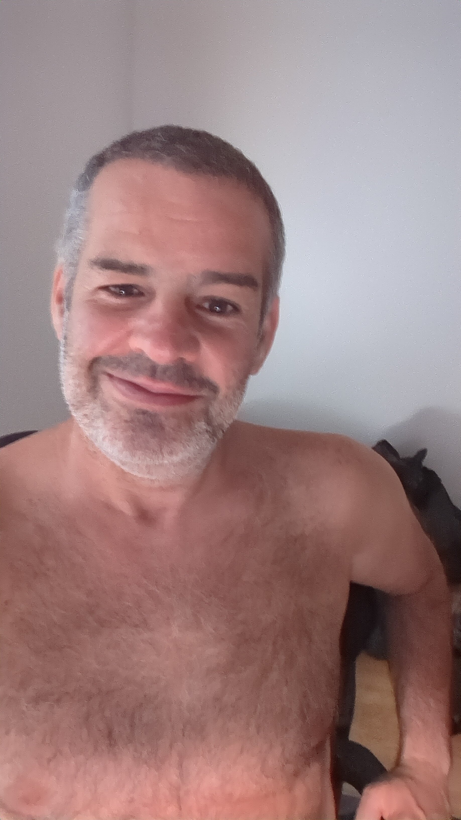 passaro_voa