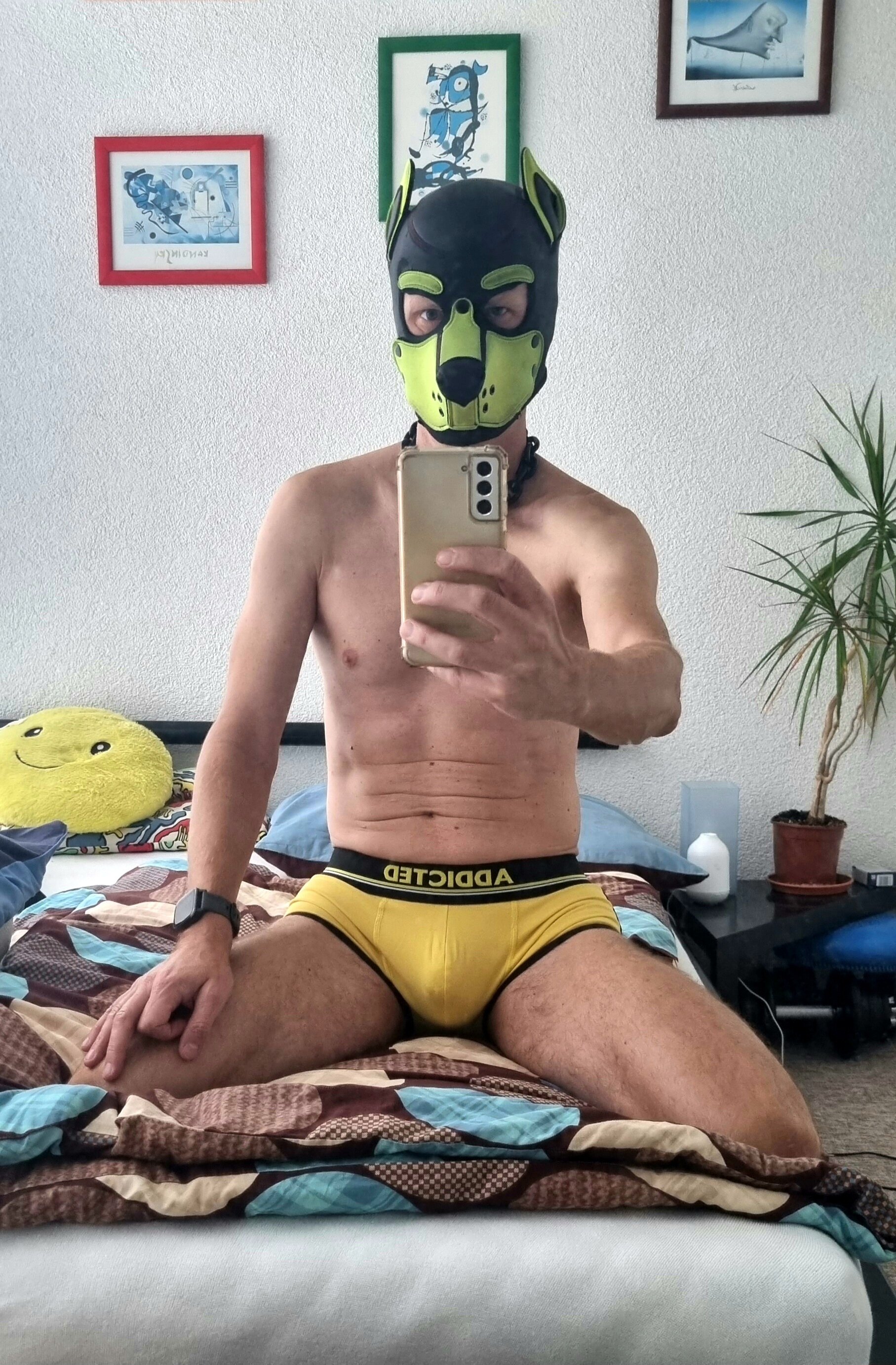 puppy_tomik