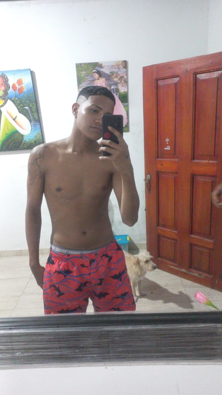 DavidBoyHotx