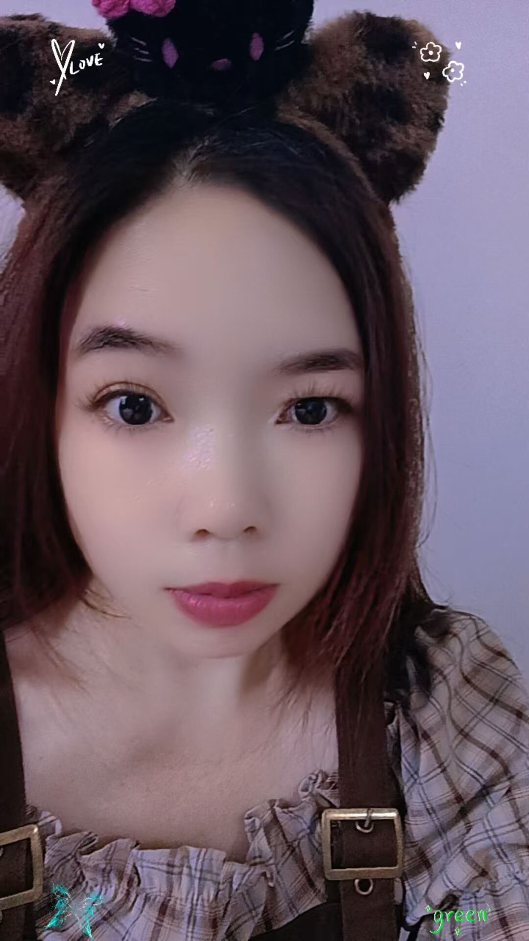 dingmei