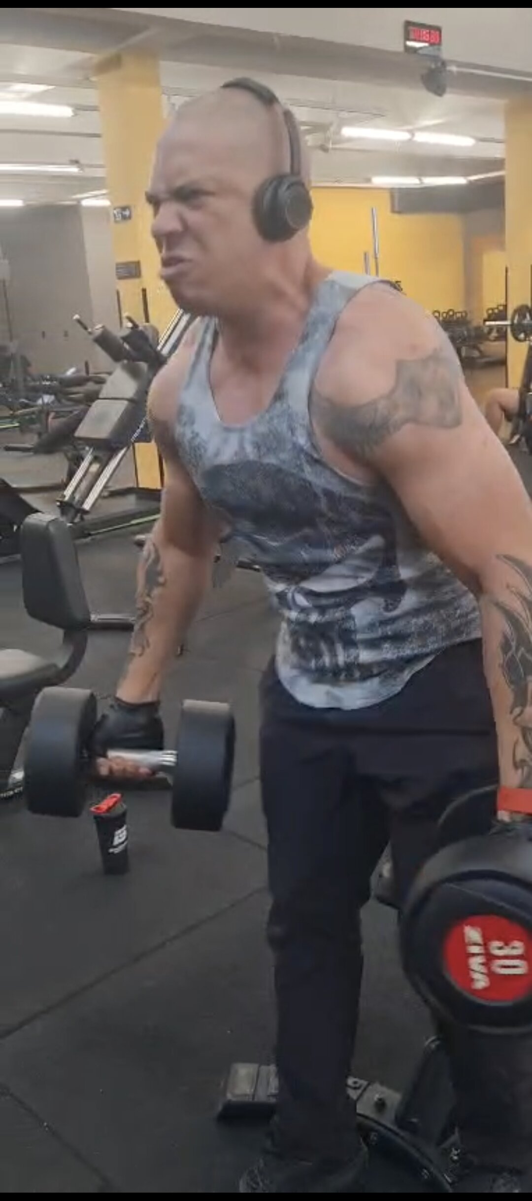 Alexandreputao