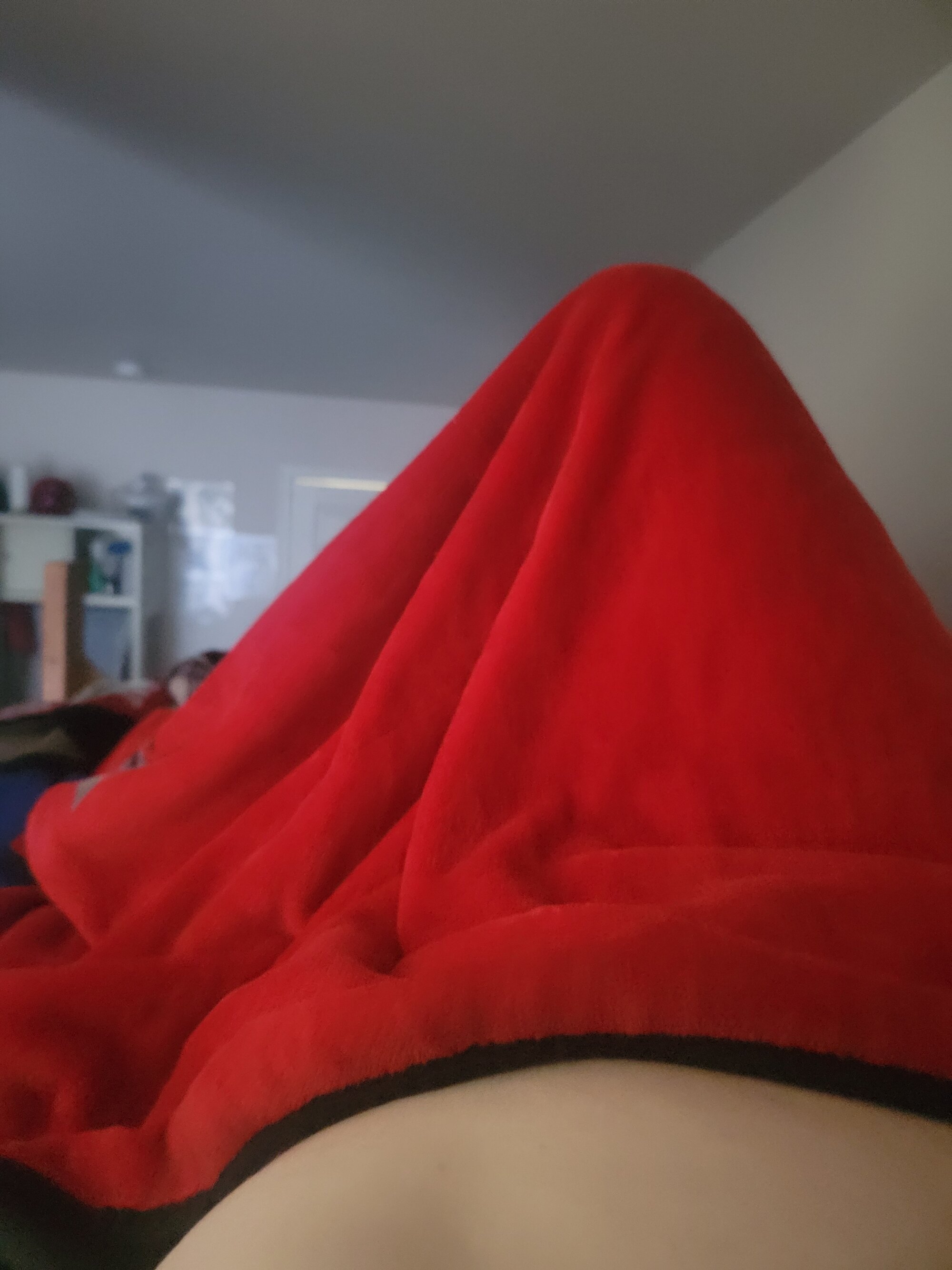 pensex26