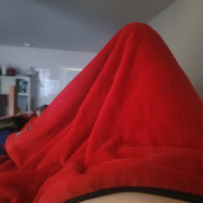 Pensex26