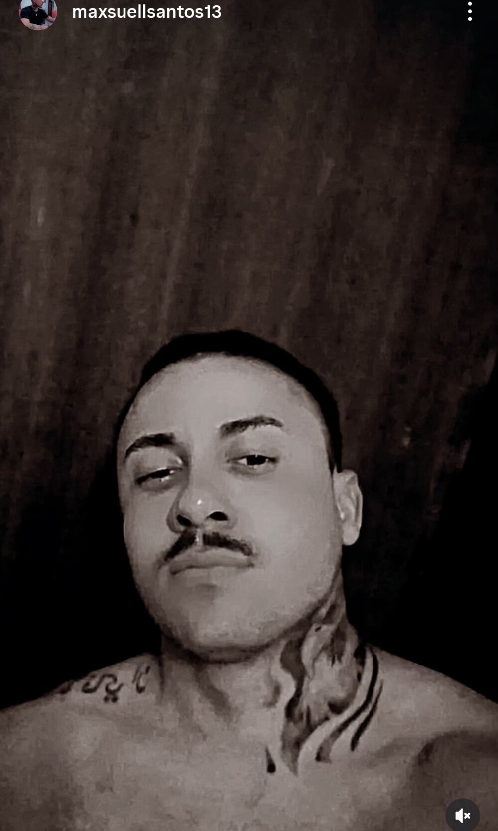 MaxeThays 离线XXX聊天