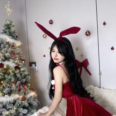 YW_001Live Webcam