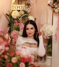 Модель AmberDismond