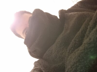 mesticomistery1 Avatar