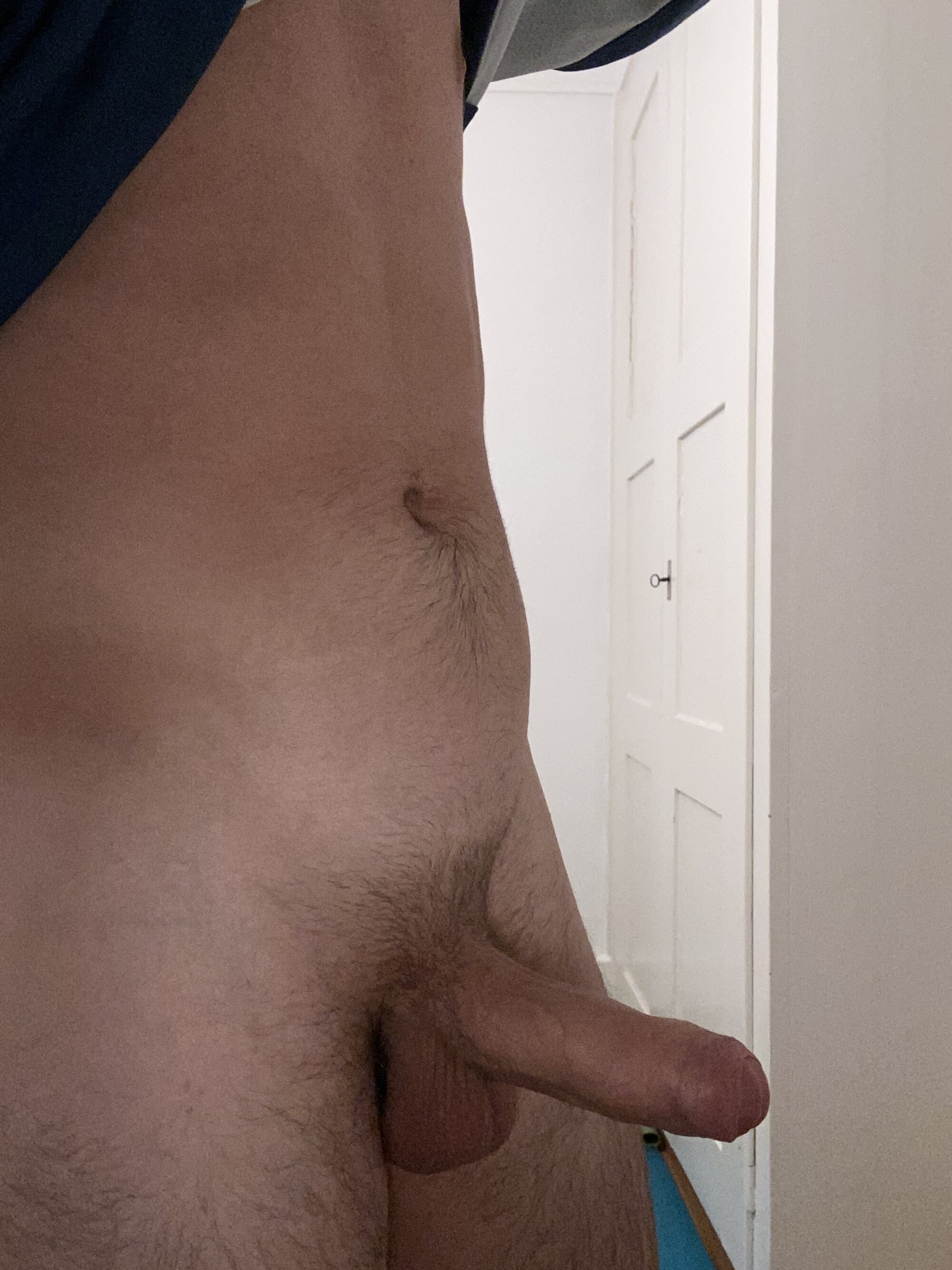 Timolia19