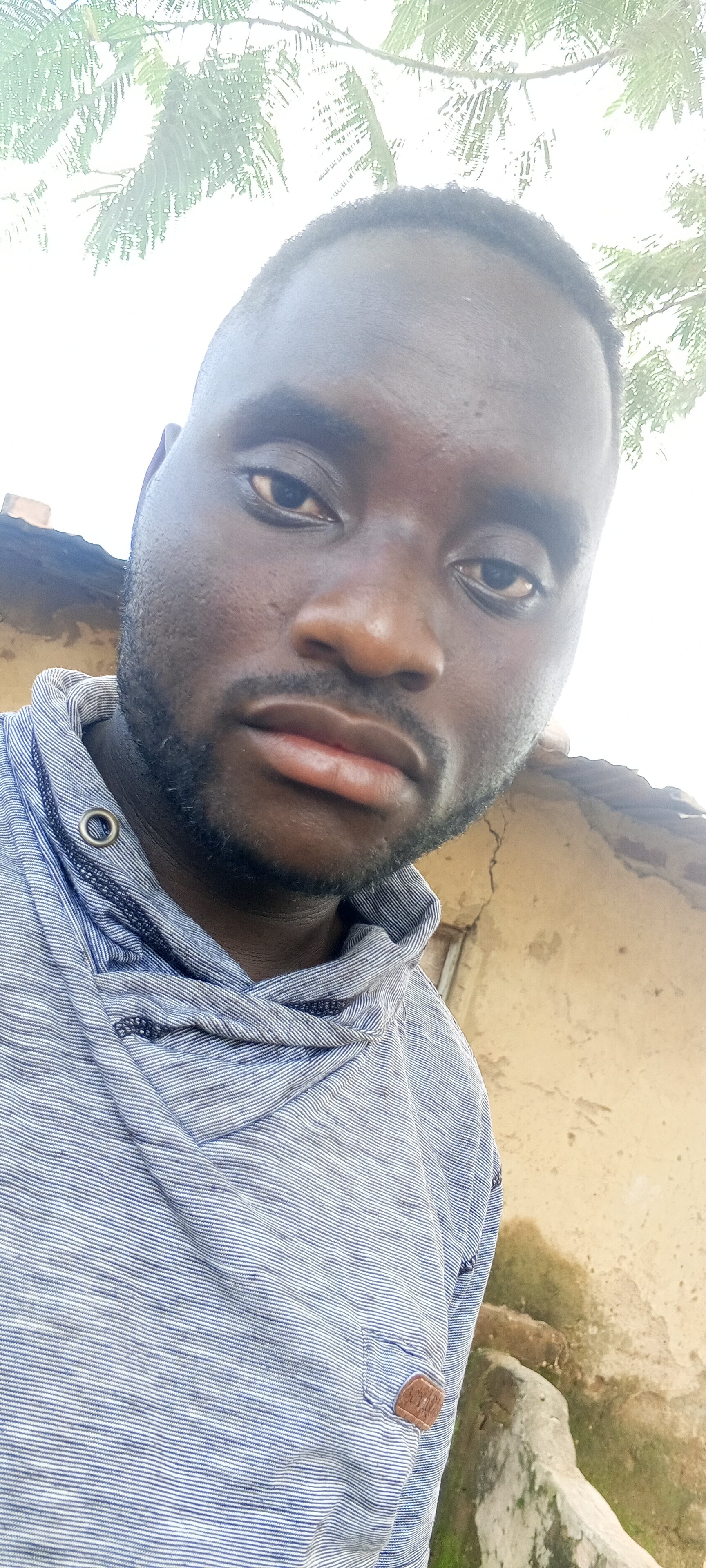 malivha24