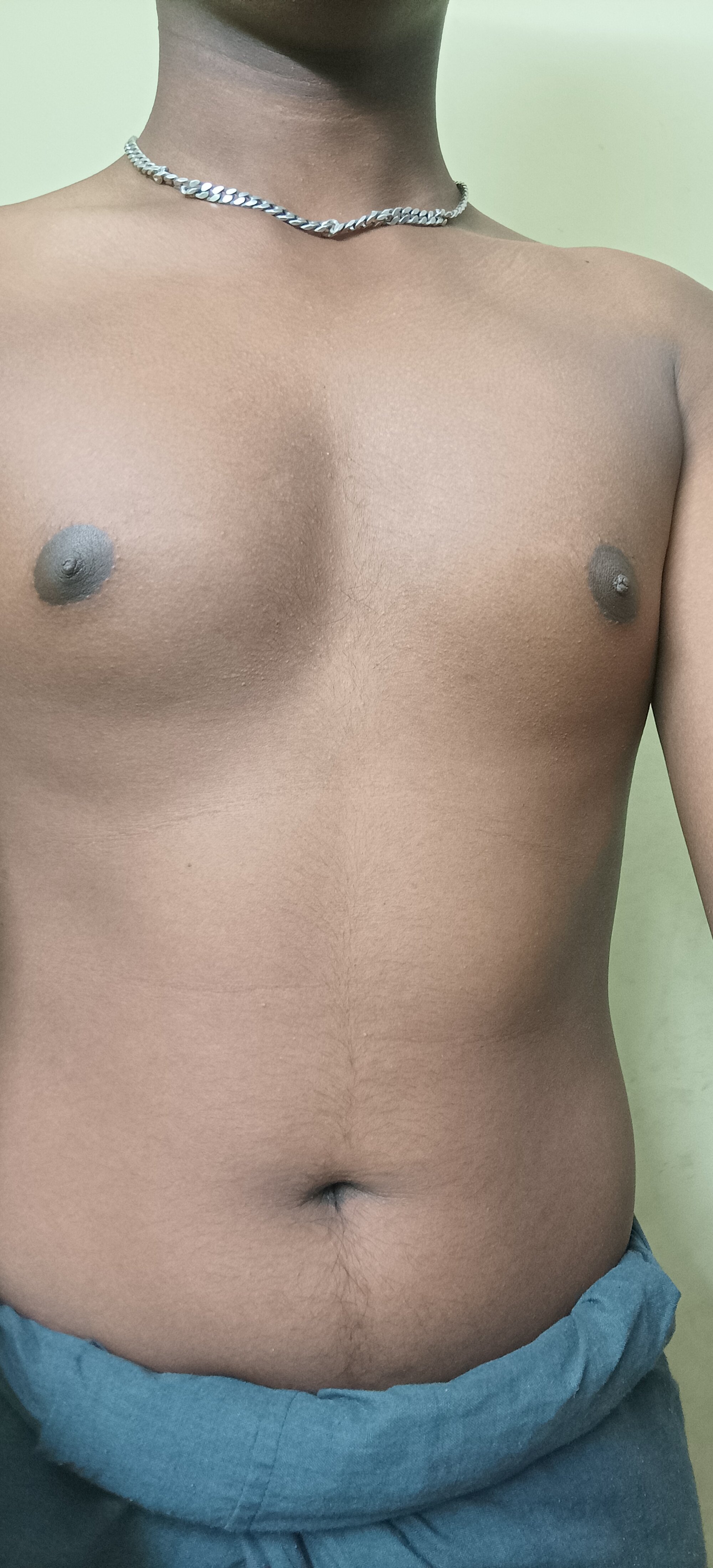 Tamil_Bull_0