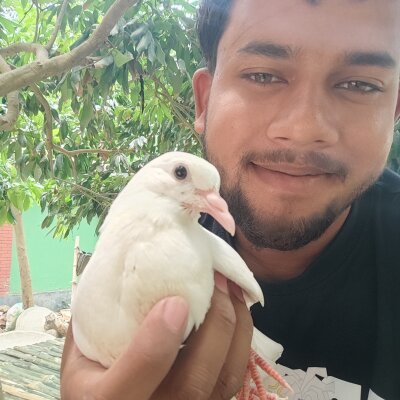 Asifmahmu