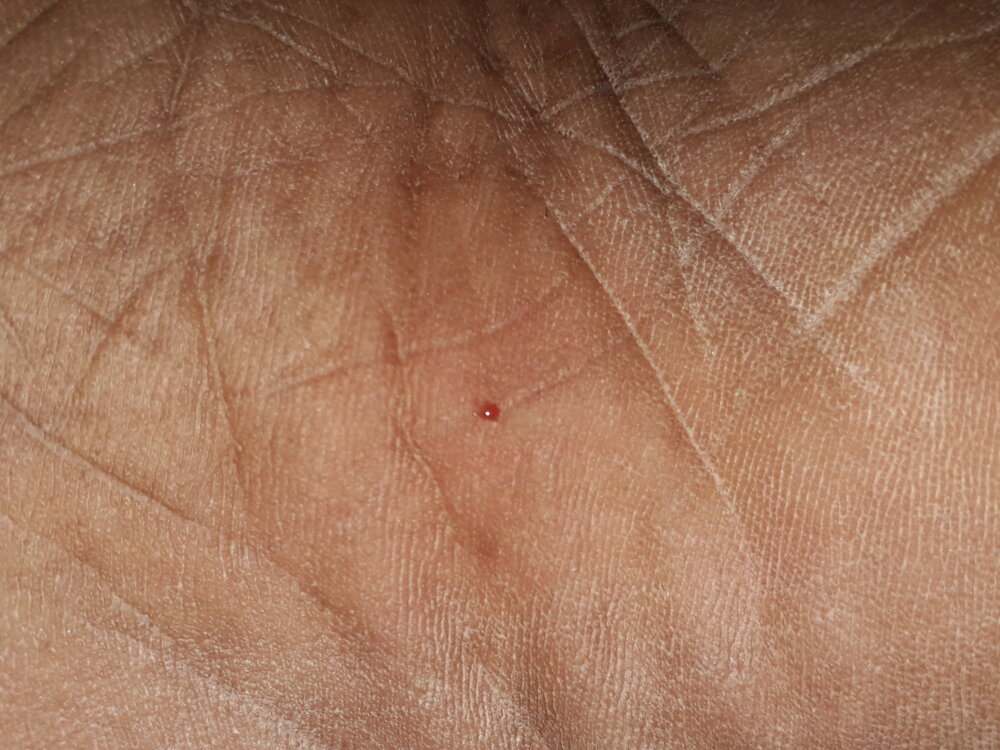 subham887273 profile