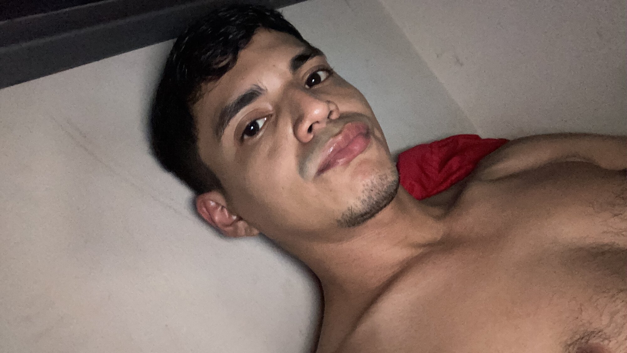 BigcicoC4