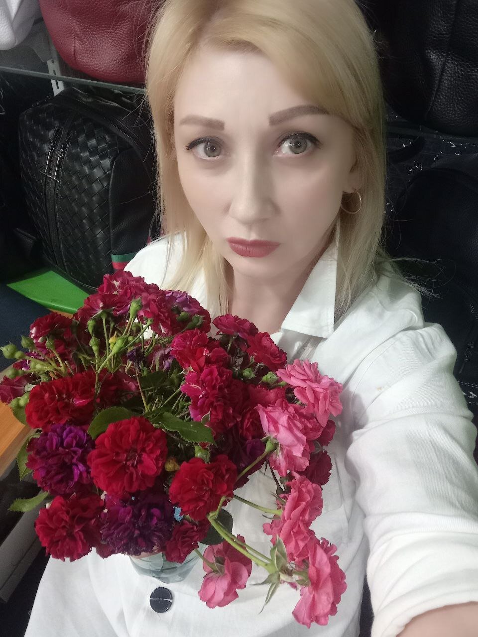 Stella_lo