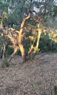 Zepe_12's webcam live show