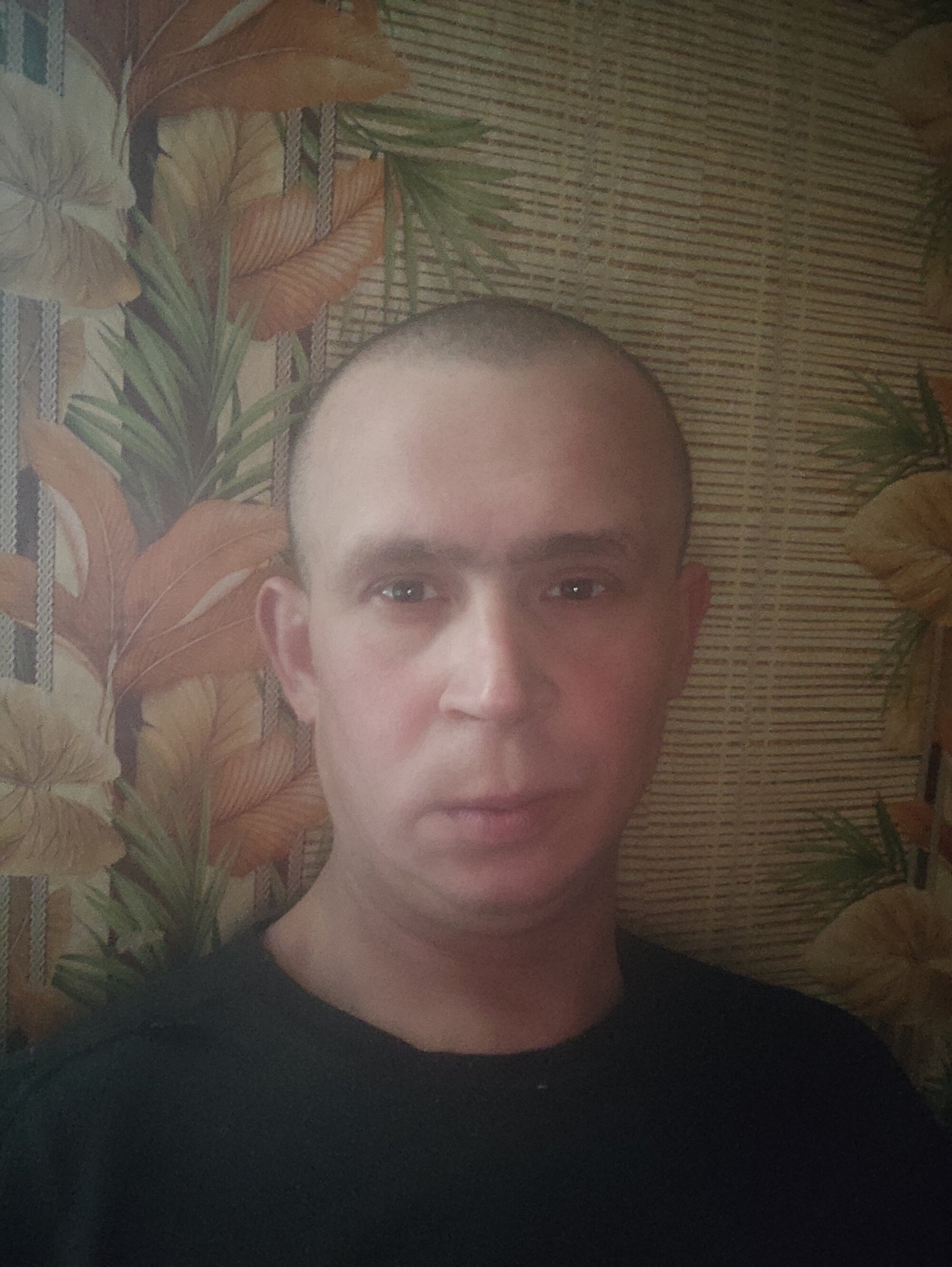 alex_brow_n