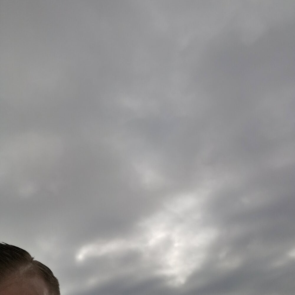 PrachtSchwanz_XL profile