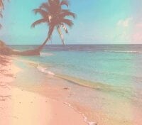 Mrdim26 Webcam Model Profile